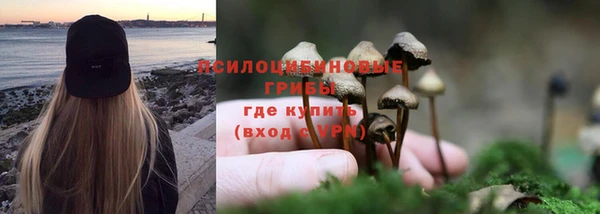 спайс Аркадак