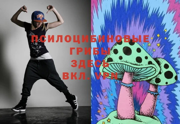 дмт Няндома