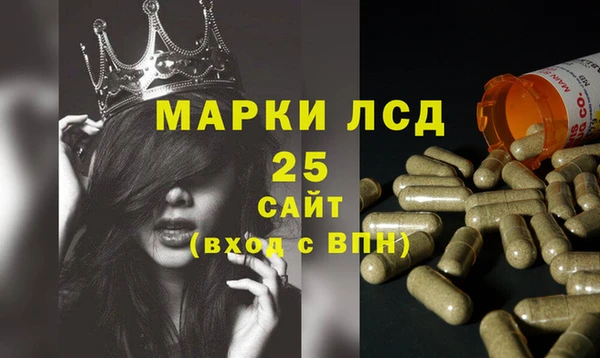 спайс Аркадак